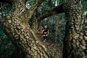 BIB: 
                            <button type="button" onclick="openModal(25392660)" class="btn btn-primary btn-sm float-right btn-popup" data-toggle="modal" data-target=".modal-high-quality">
                        <i class="fas fa-shopping-cart"></i> Add to Cart
                    </button>
                                            <button type="button" onclick="isThisMe(25392660, true)" class="btn btn-success btn-sm float-right btn-popup btn-isme hidden" data-toggle="tooltip" data-placement="bottom" title="นี่คือรูปของคุณใช่ไหม คลิกที่นี่เพื่อเอาเข้าอัลบั้ม">
                        <i class="fas fa-plus"></i> Add to album
                    </button>
                    <button type="button" onclick="isThisMe(25392660, false)" class="btn btn-warning btn-sm float-right btn-popup btn-isnotme hidden">
                        <i class="fas fa-ban"></i> Remove from album
                    </button>